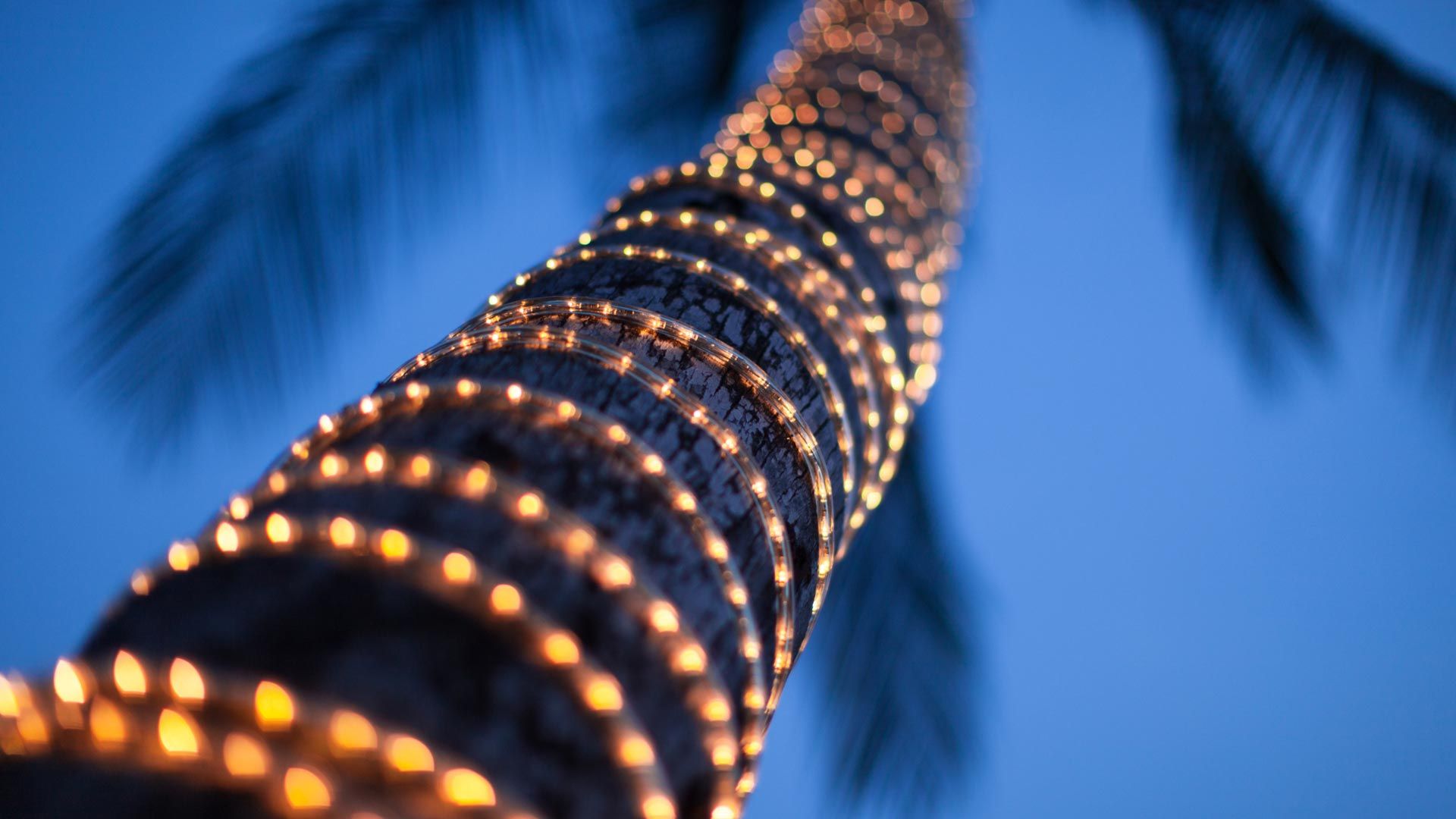luminarie per alberi